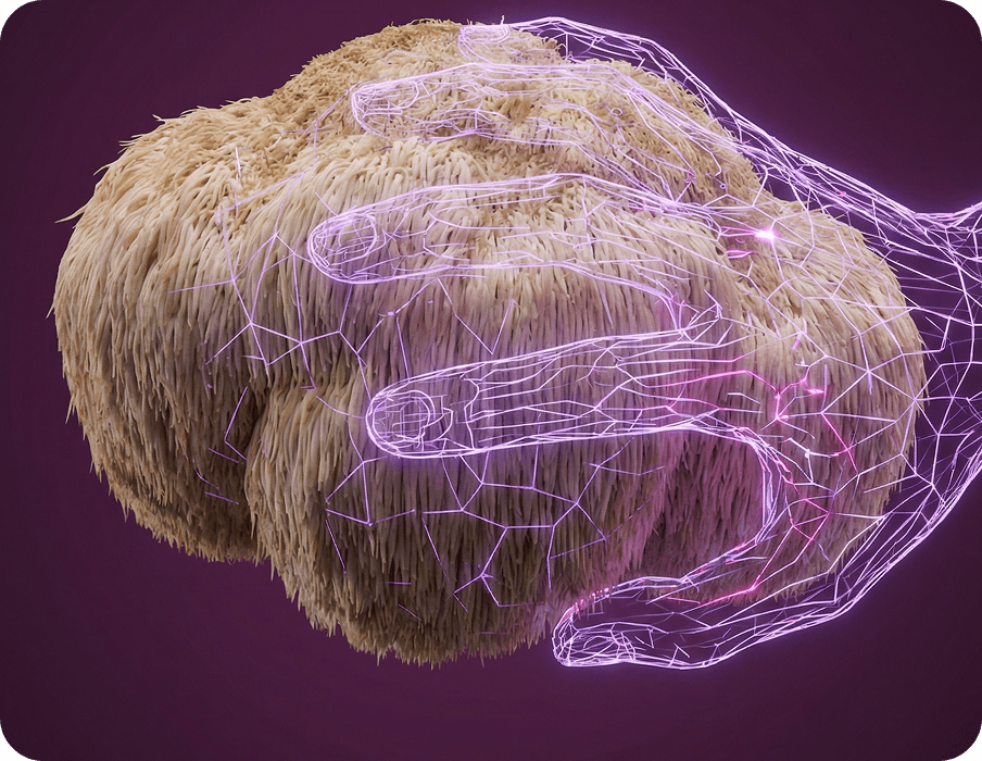 Neural Clarity