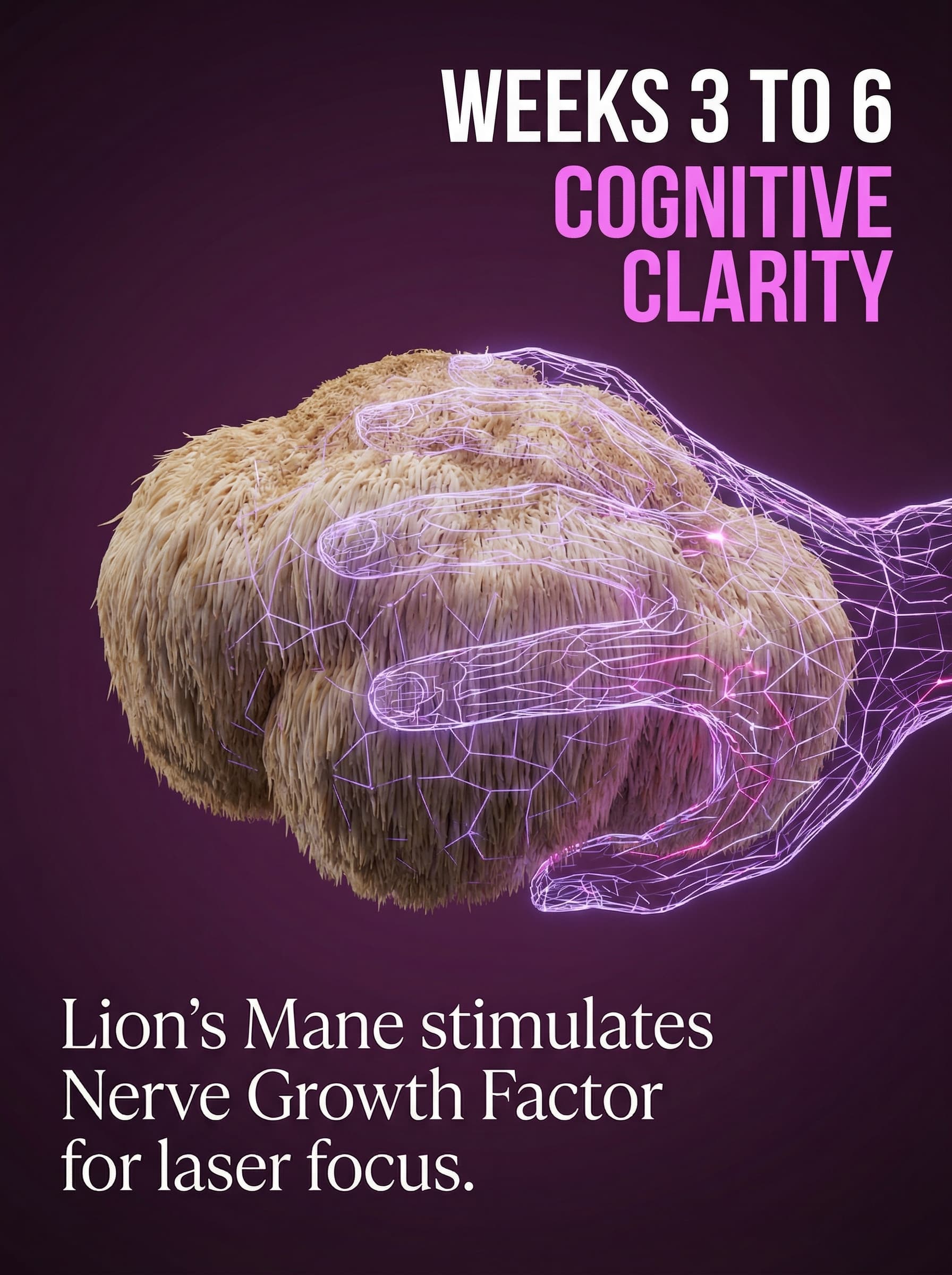 Lion's Mane (20mg)