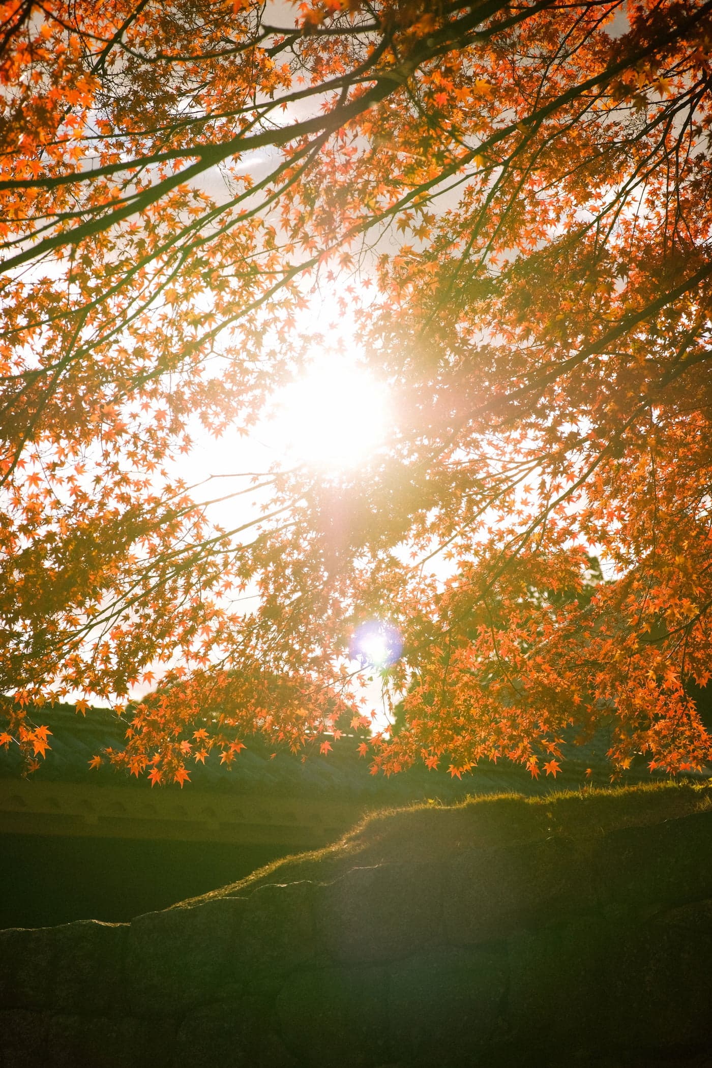 Vitamin D in a UK Winter: 400 IU or 4,000 IU?
