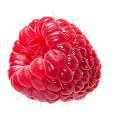 Food icon 2