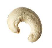 Food icon 4