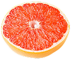 Food icon 5