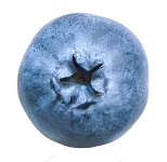 Food icon 6